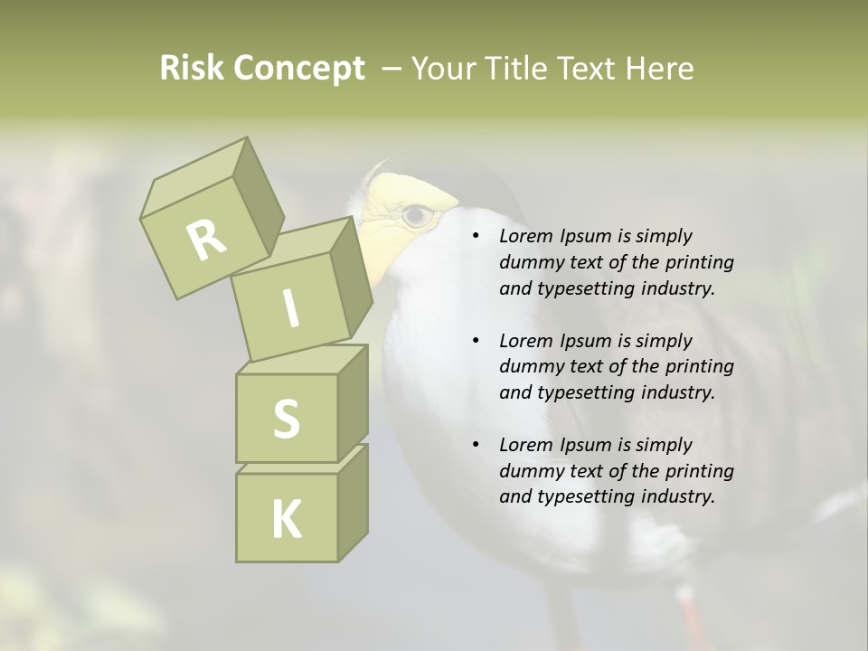 Masked Plover Plover Walking PowerPoint Template