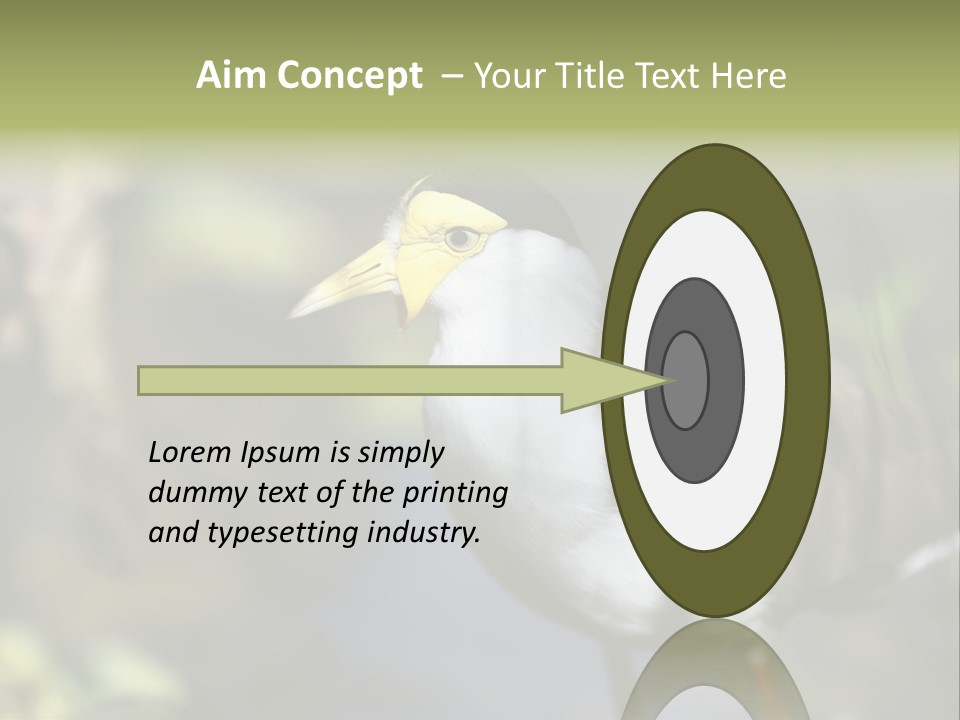 Masked Plover Plover Walking PowerPoint Template