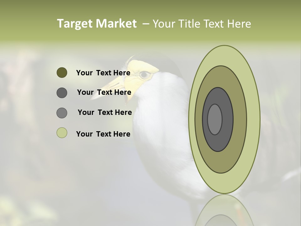 Masked Plover Plover Walking PowerPoint Template