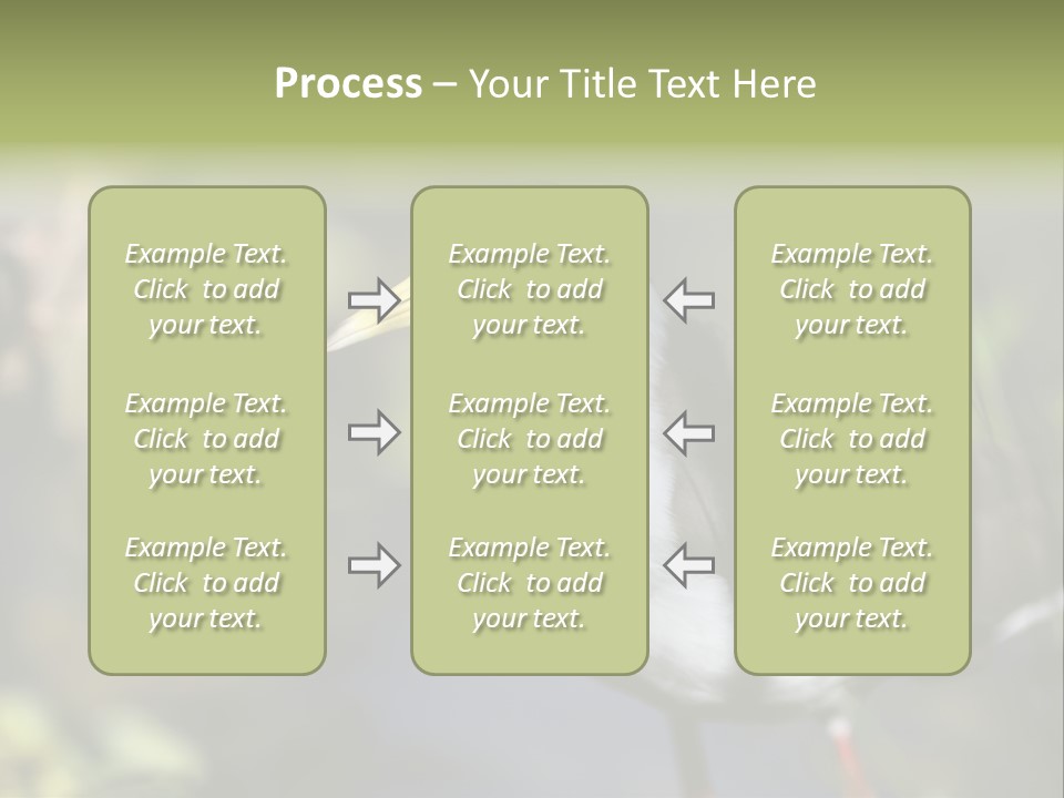 Masked Plover Plover Walking PowerPoint Template