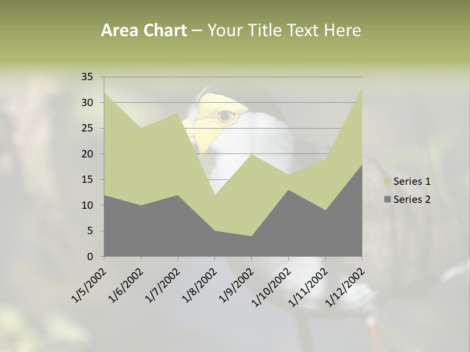 Masked Plover Plover Walking PowerPoint Template