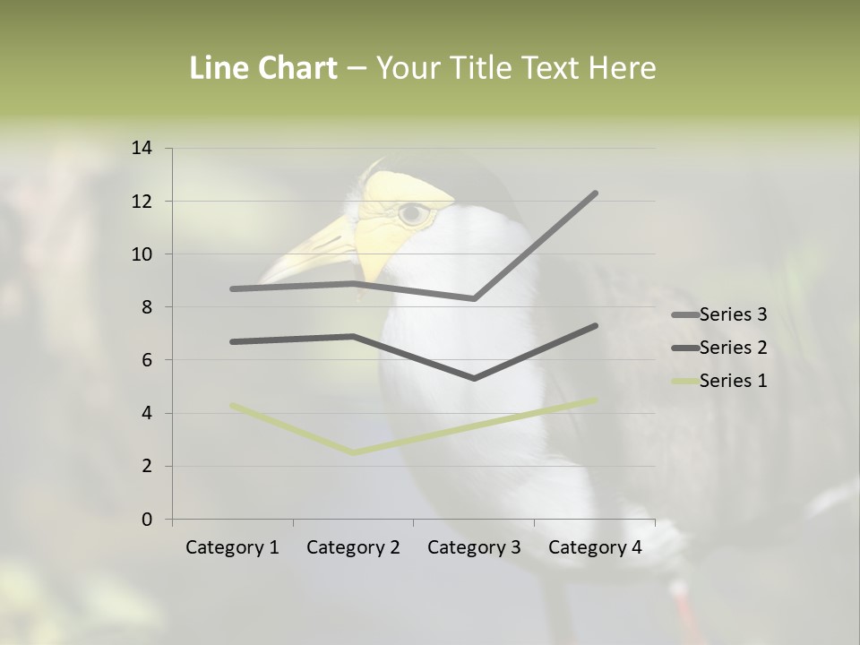 Masked Plover Plover Walking PowerPoint Template
