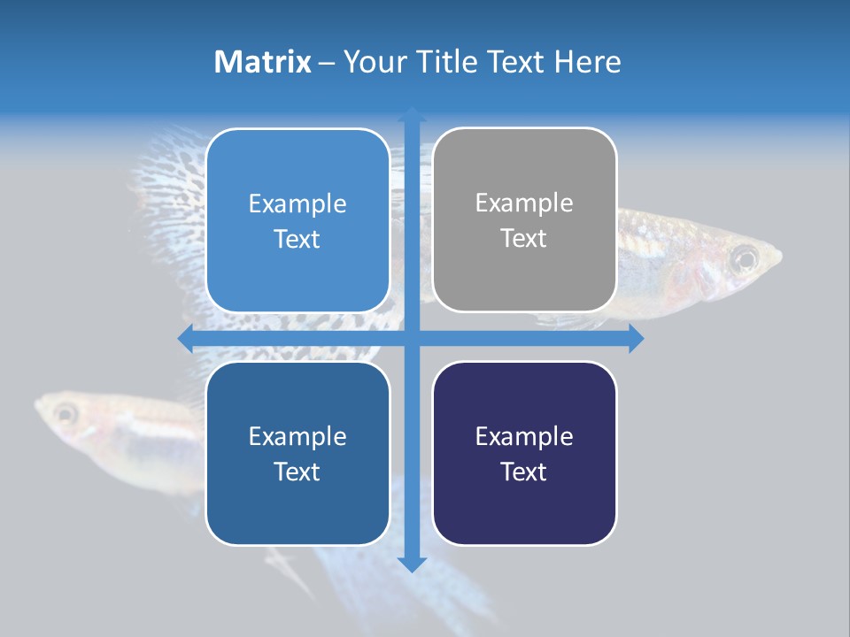 Grass Fashion Accosting PowerPoint Template
