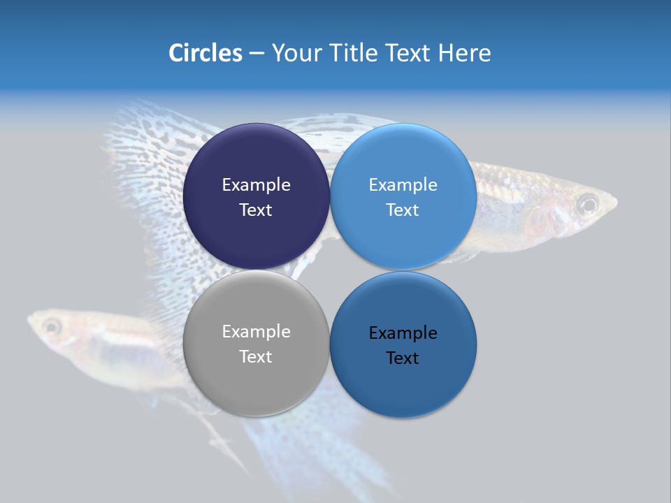 Grass Fashion Accosting PowerPoint Template