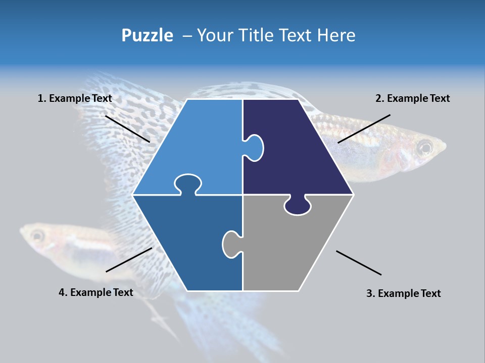 Grass Fashion Accosting PowerPoint Template