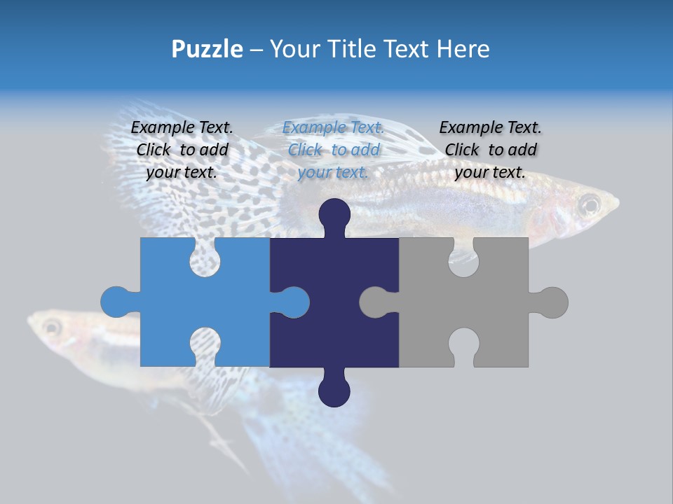 Grass Fashion Accosting PowerPoint Template