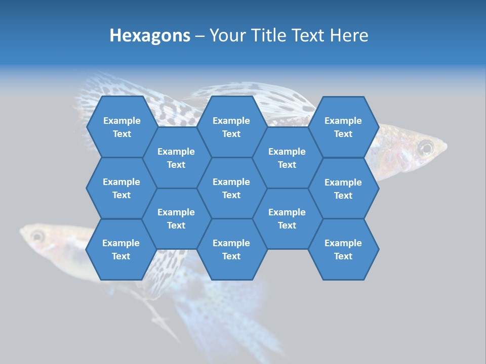 Grass Fashion Accosting PowerPoint Template