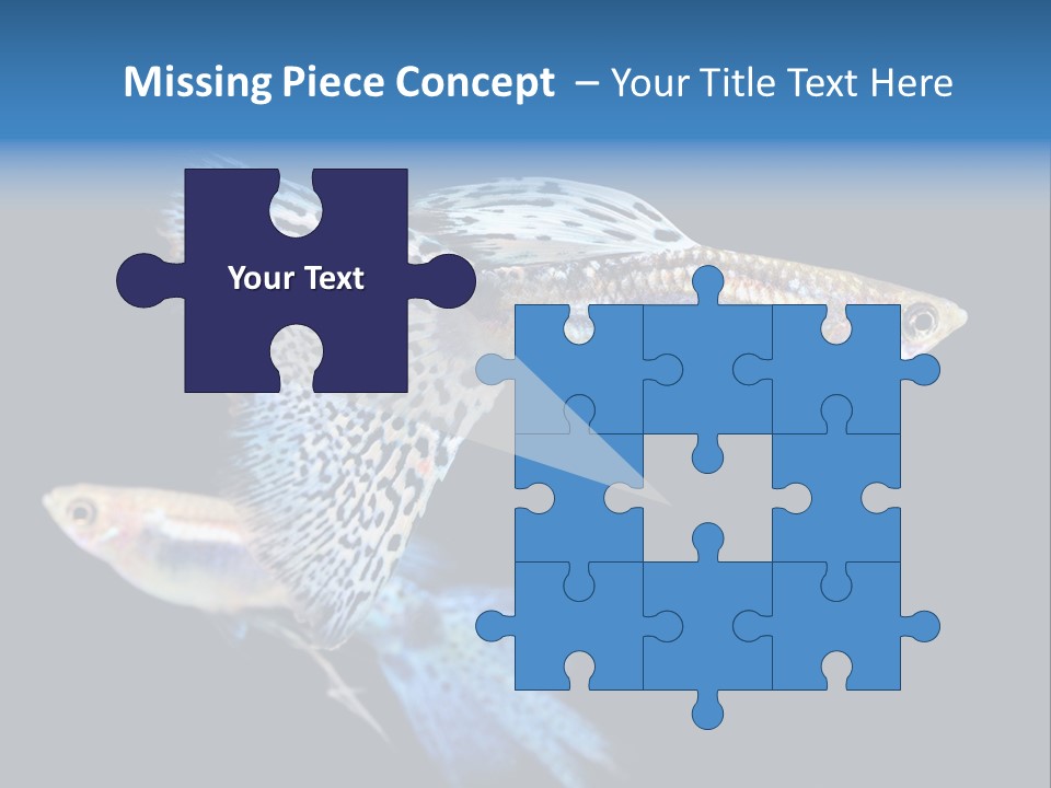 Grass Fashion Accosting PowerPoint Template