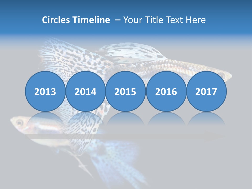 Grass Fashion Accosting PowerPoint Template