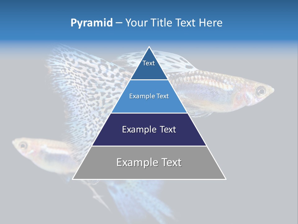 Grass Fashion Accosting PowerPoint Template
