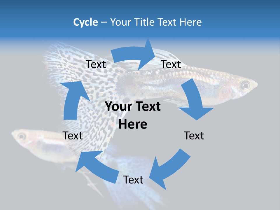 Grass Fashion Accosting PowerPoint Template