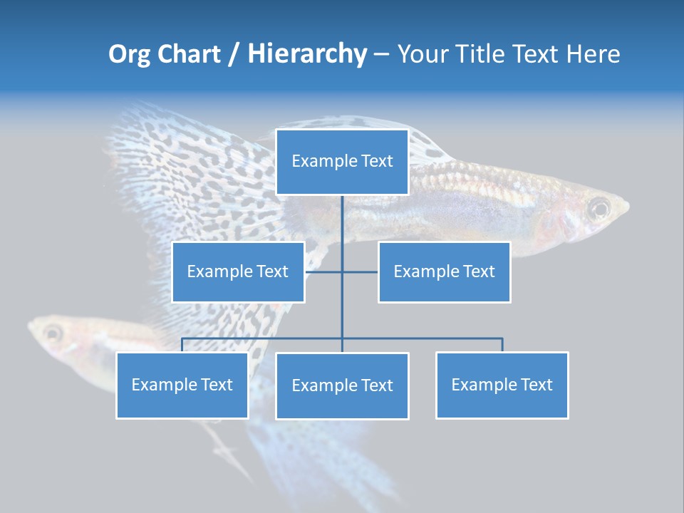 Grass Fashion Accosting PowerPoint Template