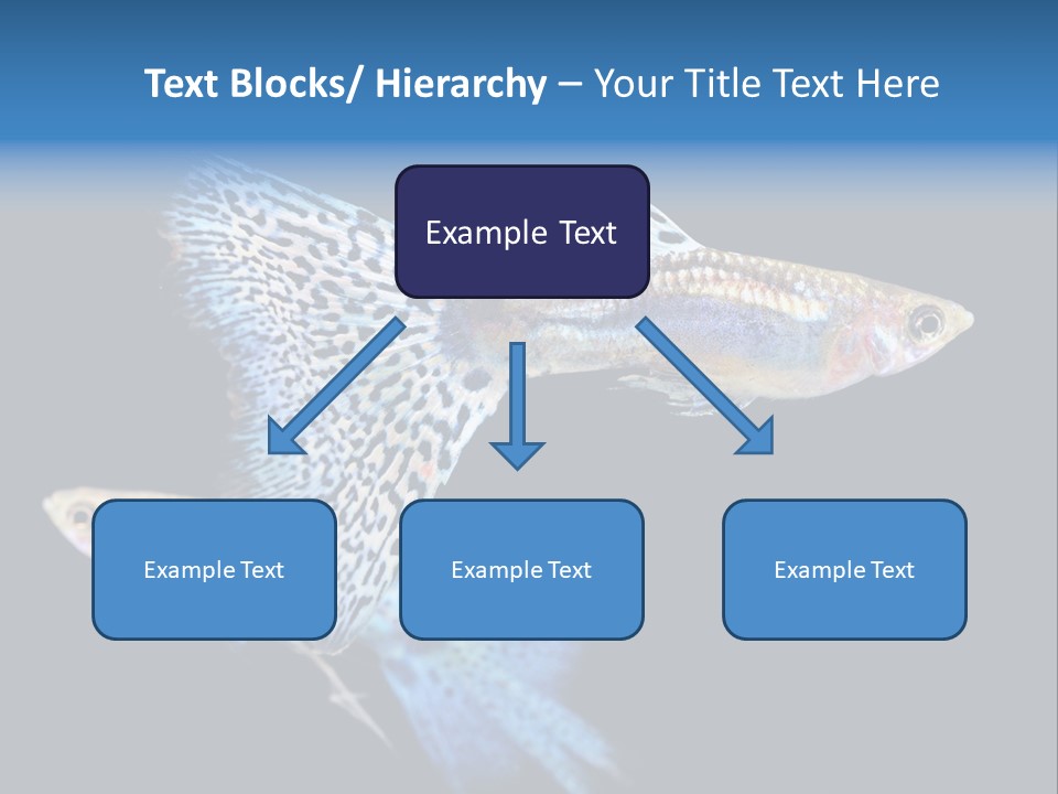 Grass Fashion Accosting PowerPoint Template