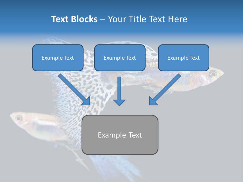 Grass Fashion Accosting PowerPoint Template