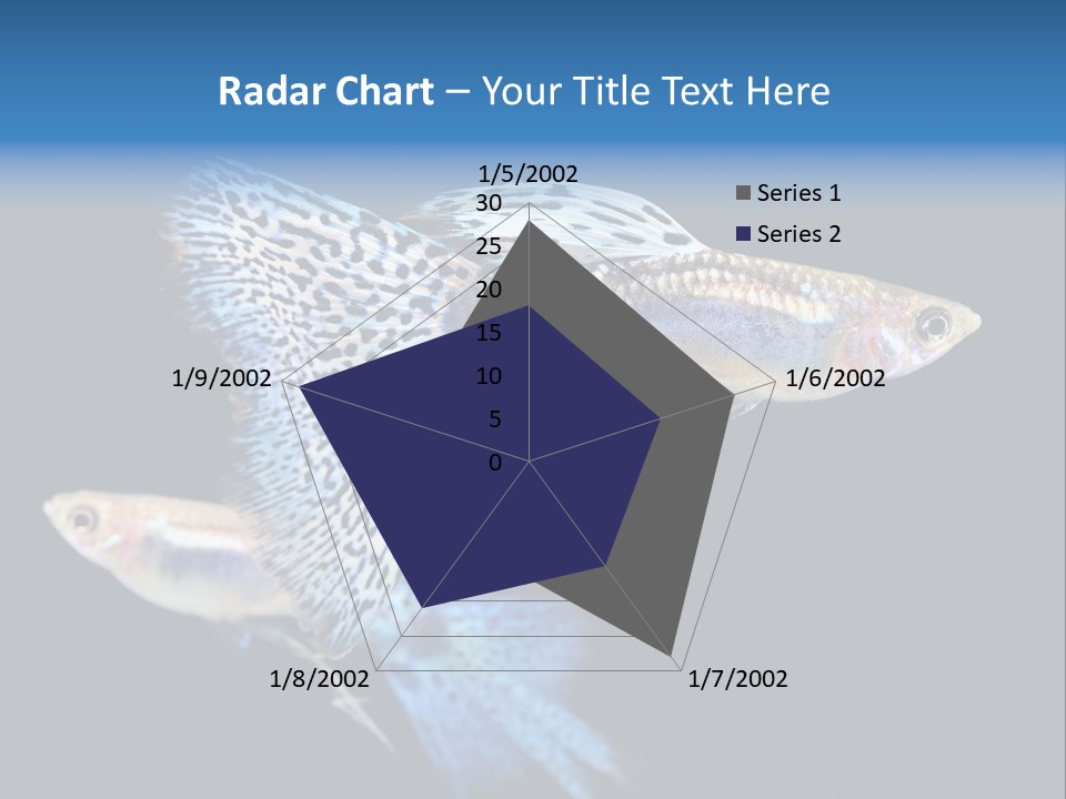 Grass Fashion Accosting PowerPoint Template