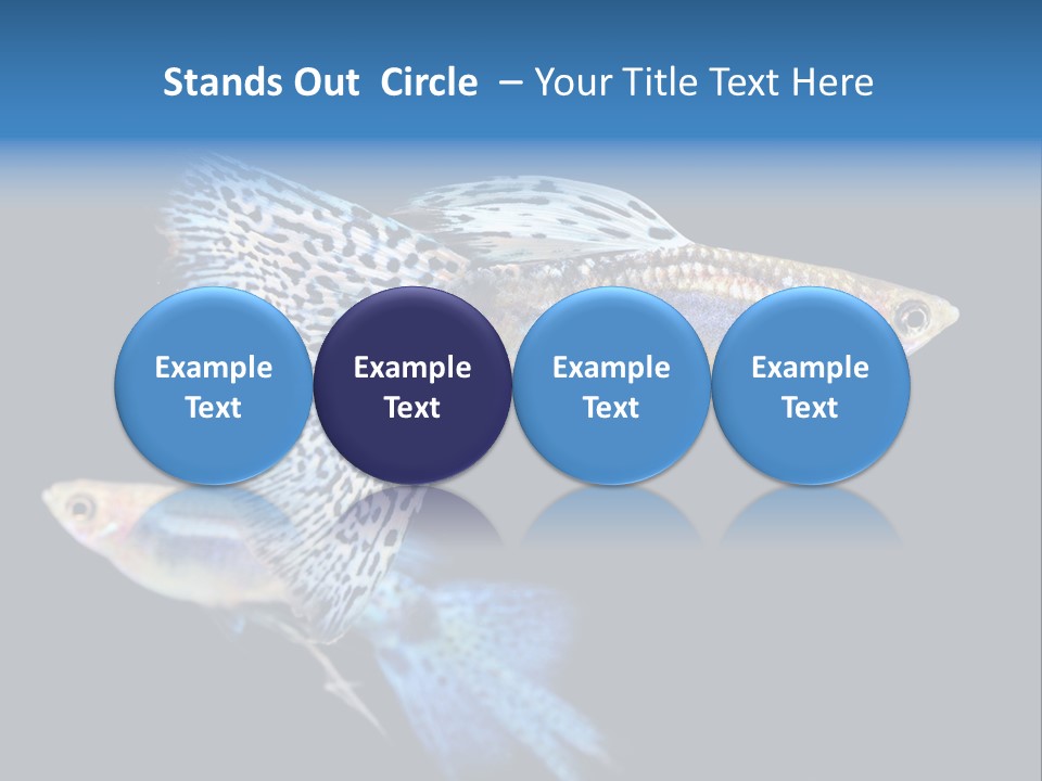 Grass Fashion Accosting PowerPoint Template