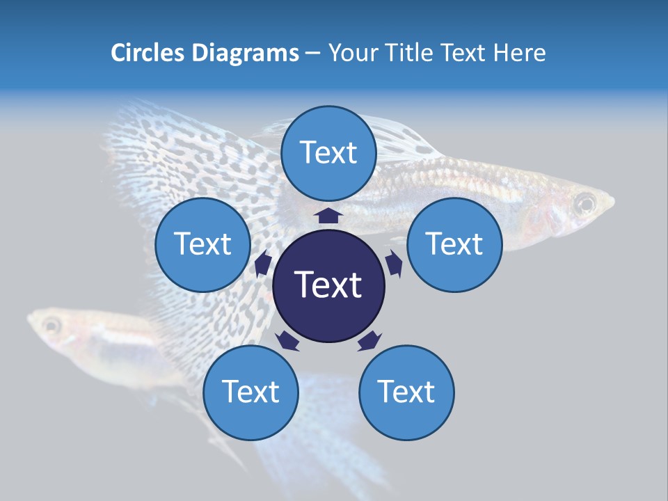 Grass Fashion Accosting PowerPoint Template