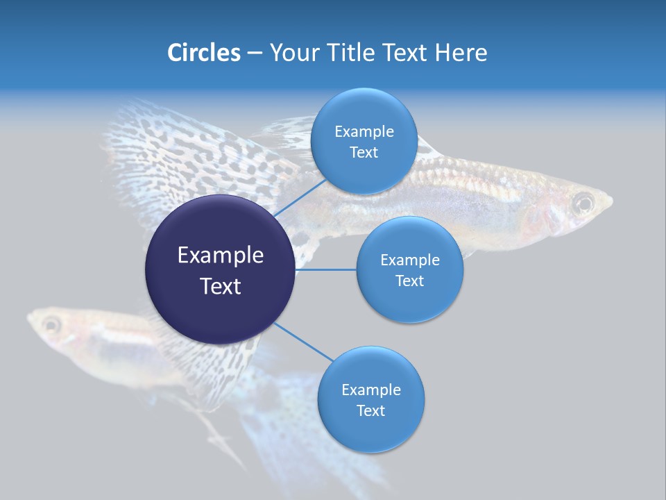 Grass Fashion Accosting PowerPoint Template