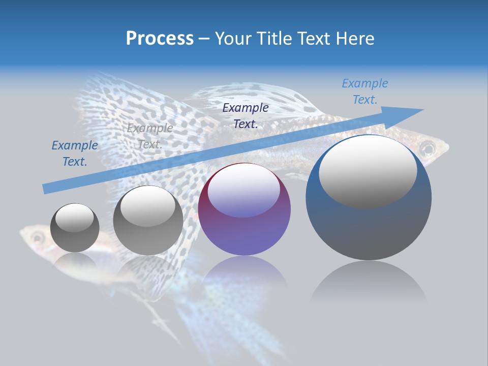Grass Fashion Accosting PowerPoint Template