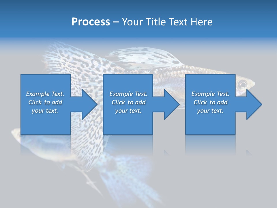 Grass Fashion Accosting PowerPoint Template