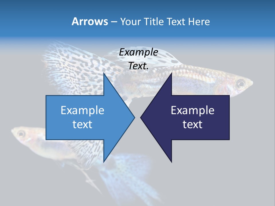 Grass Fashion Accosting PowerPoint Template