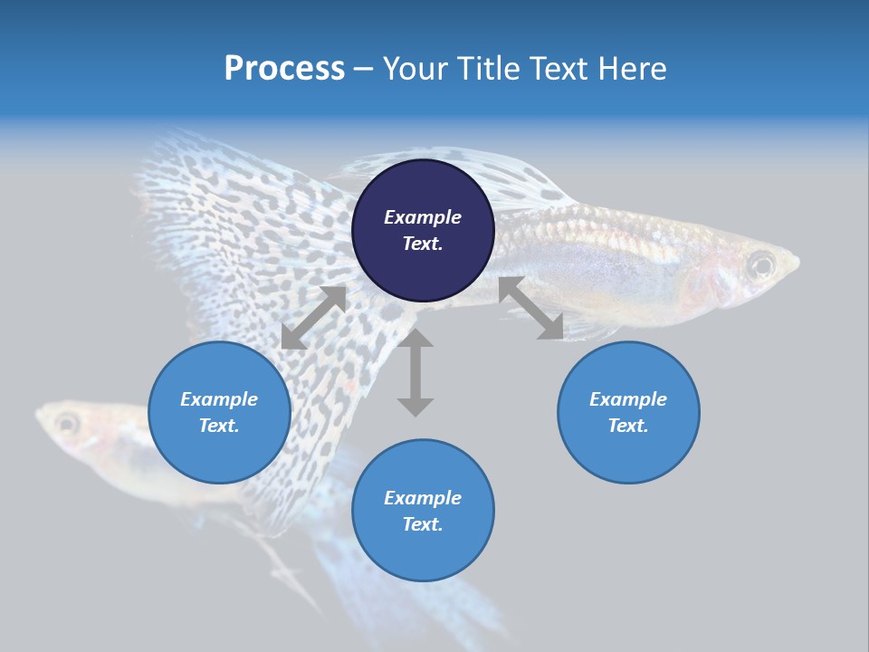 Grass Fashion Accosting PowerPoint Template