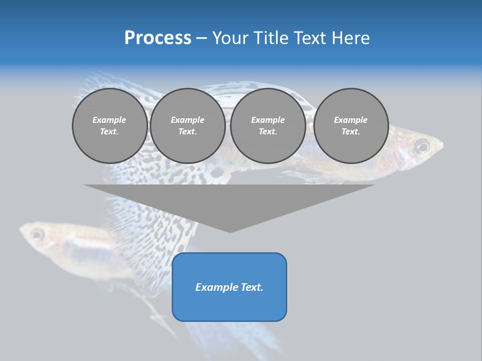 Grass Fashion Accosting PowerPoint Template
