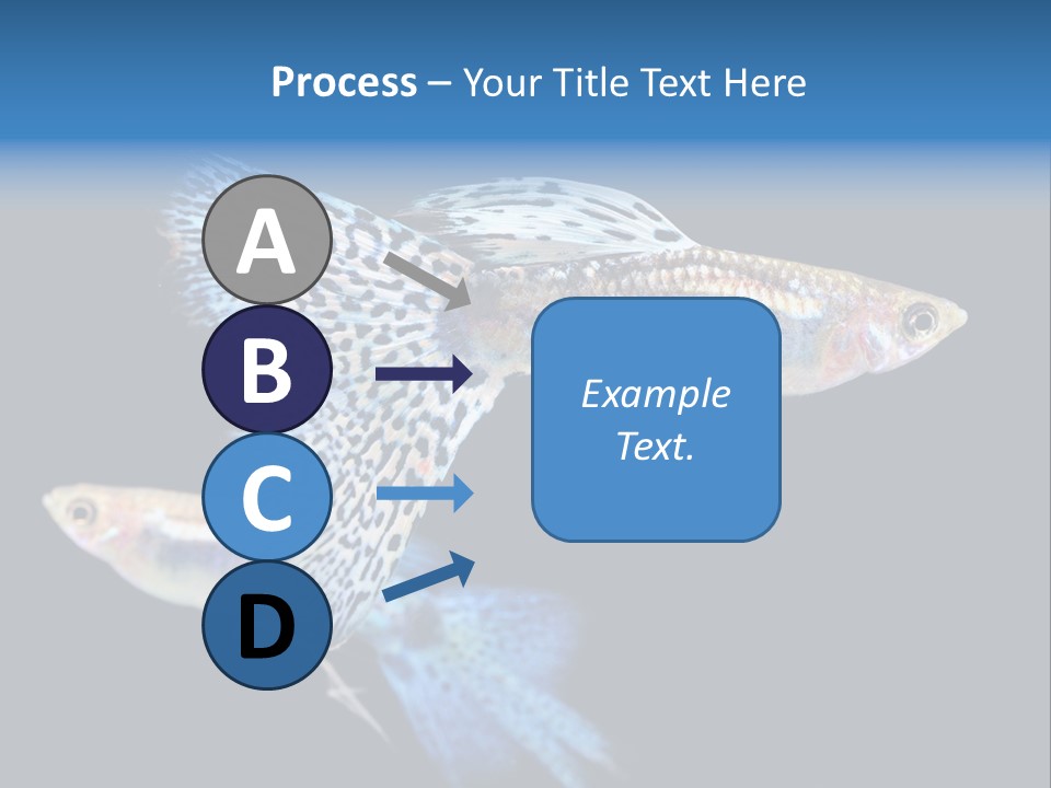 Grass Fashion Accosting PowerPoint Template