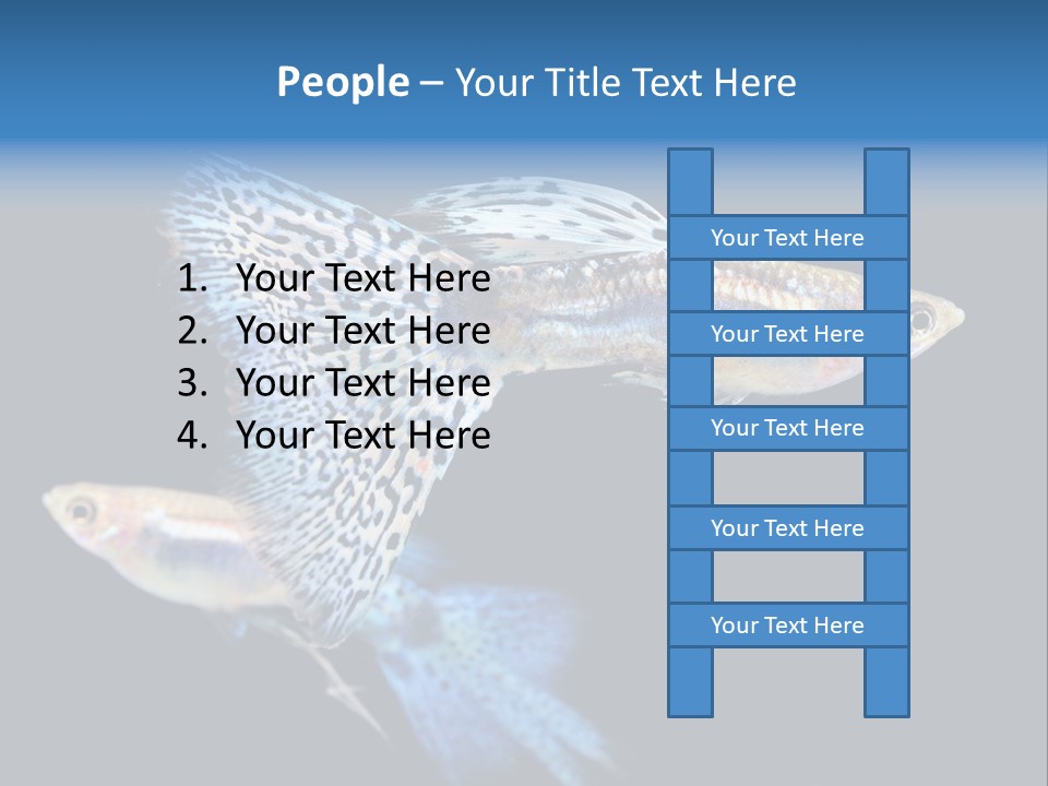 Grass Fashion Accosting PowerPoint Template