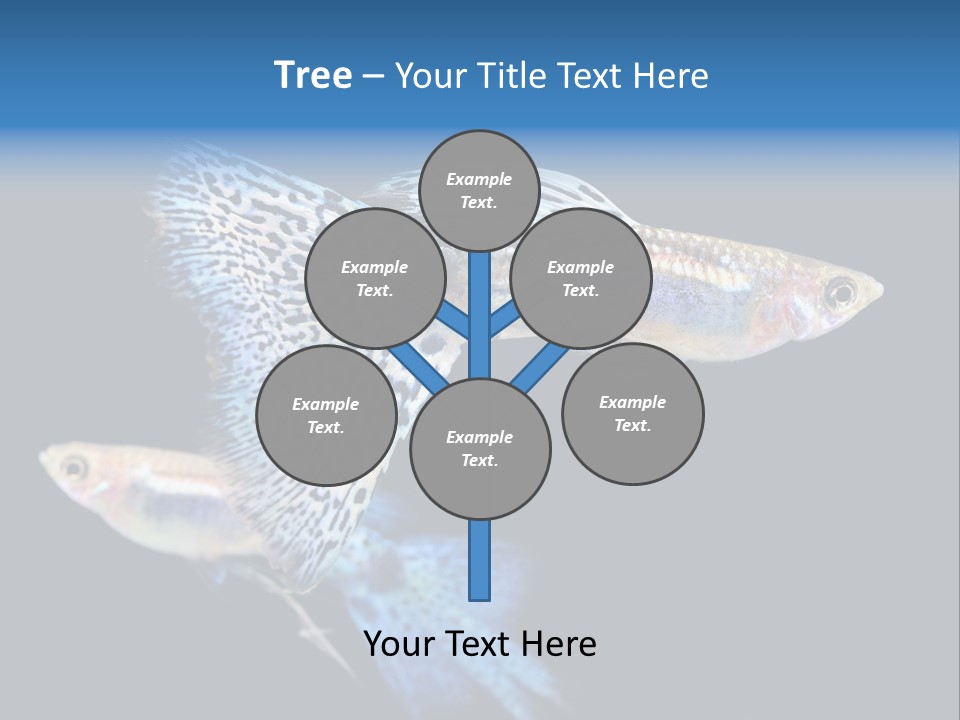 Grass Fashion Accosting PowerPoint Template