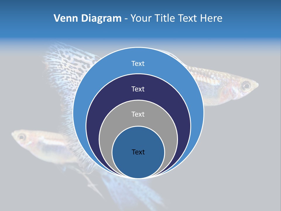 Grass Fashion Accosting PowerPoint Template