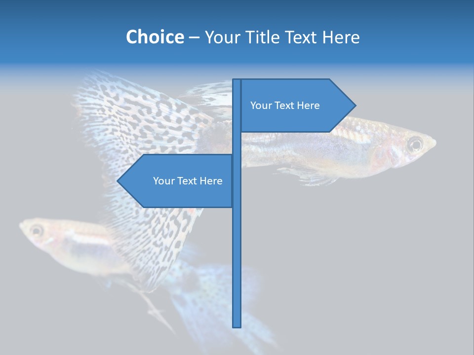 Grass Fashion Accosting PowerPoint Template