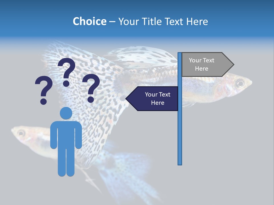 Grass Fashion Accosting PowerPoint Template