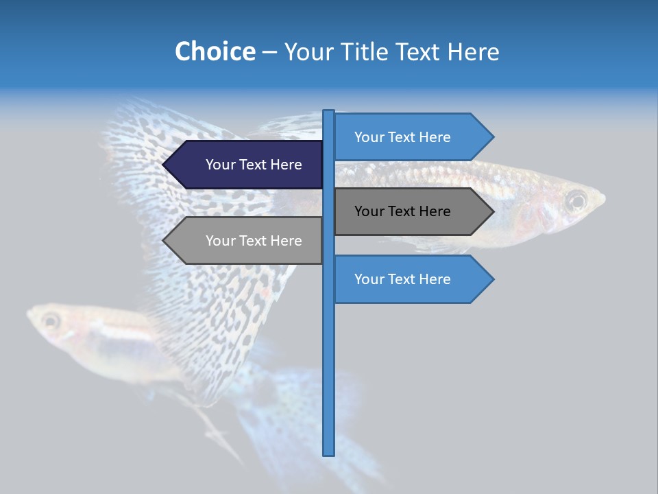 Grass Fashion Accosting PowerPoint Template