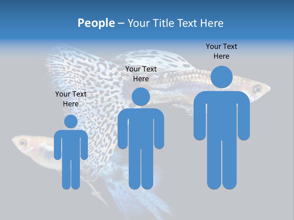 Grass Fashion Accosting PowerPoint Template