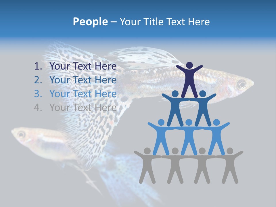 Grass Fashion Accosting PowerPoint Template