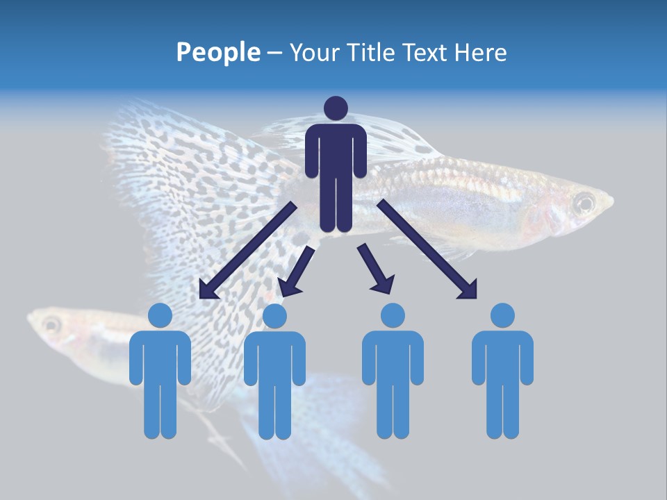 Grass Fashion Accosting PowerPoint Template