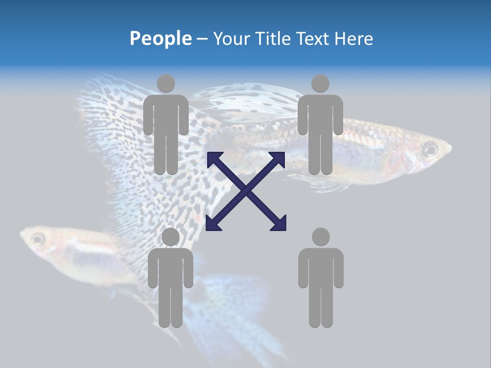 Grass Fashion Accosting PowerPoint Template