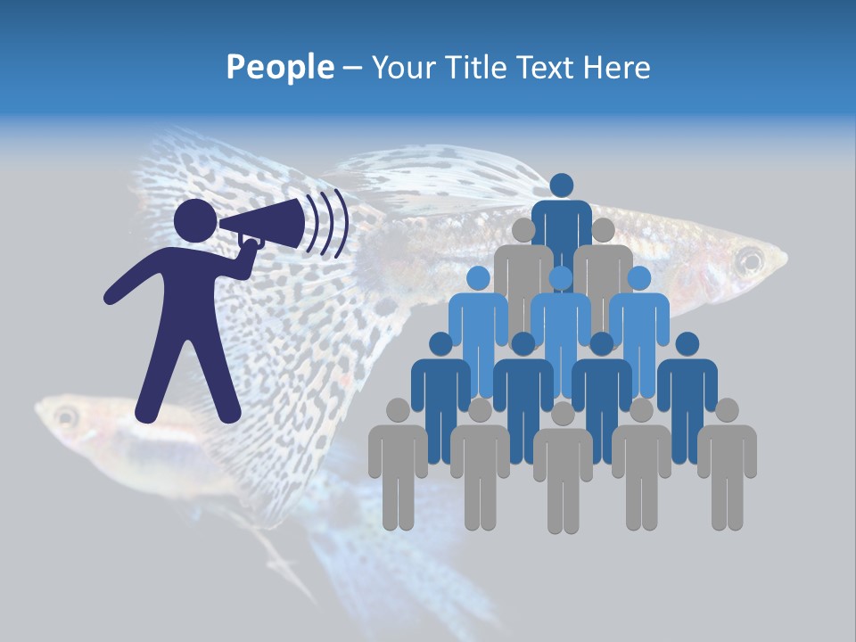 Grass Fashion Accosting PowerPoint Template