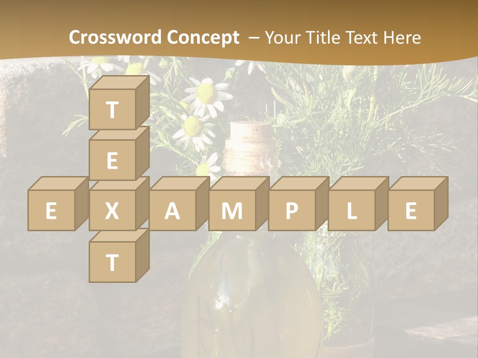 Wooden Table Fell Trees Gew PowerPoint Template