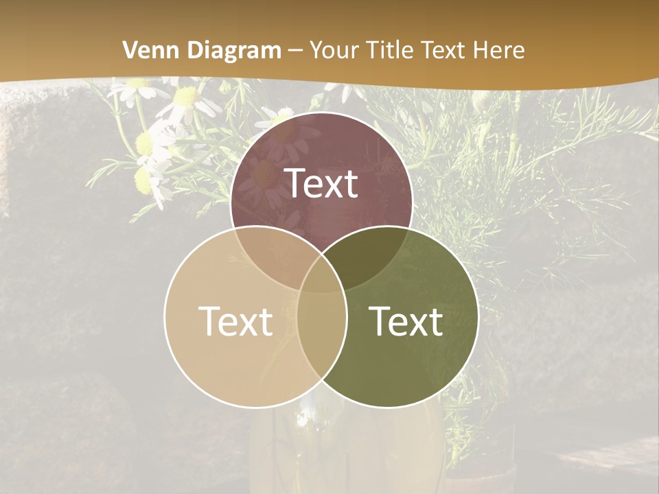 Wooden Table Fell Trees Gew PowerPoint Template