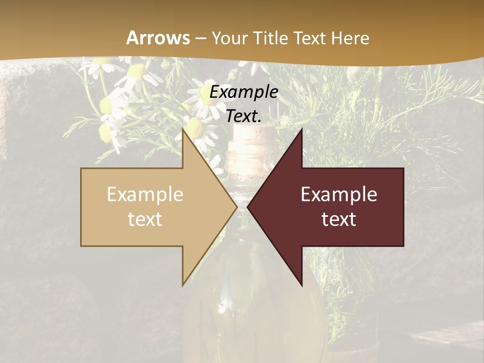 Wooden Table Fell Trees Gew PowerPoint Template