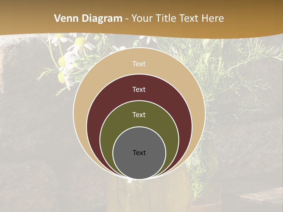 Wooden Table Fell Trees Gew PowerPoint Template