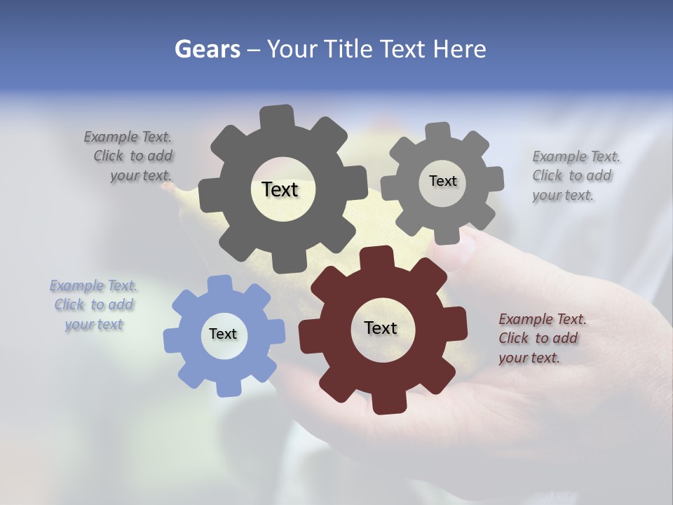 Jew Sukkah Beard PowerPoint Template