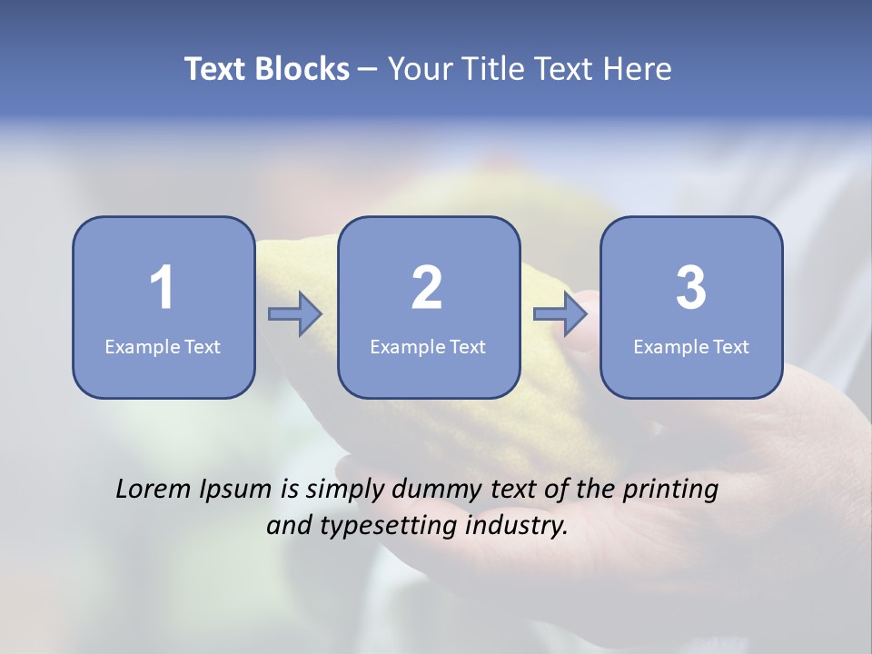 Jew Sukkah Beard PowerPoint Template