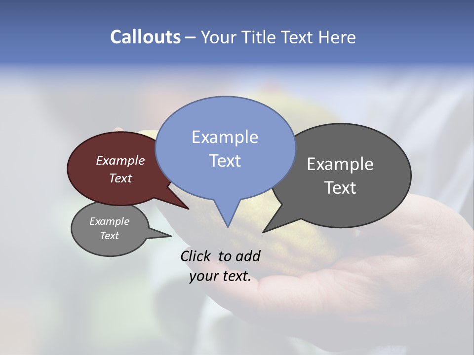 Jew Sukkah Beard PowerPoint Template