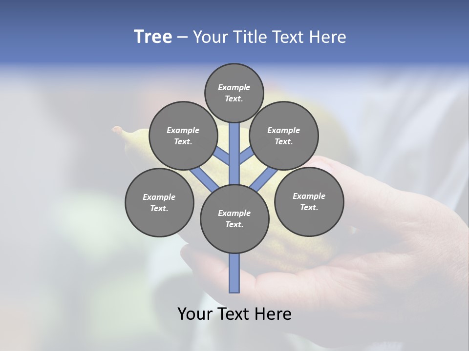 Jew Sukkah Beard PowerPoint Template