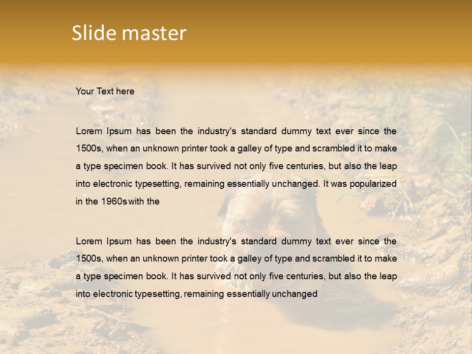 A Dog In A Muddy Puddle Of Water Powerpoint Template PowerPoint Template