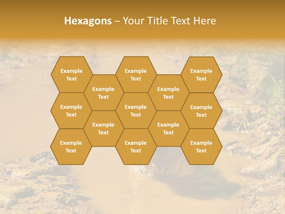 A Dog In A Muddy Puddle Of Water Powerpoint Template PowerPoint Template