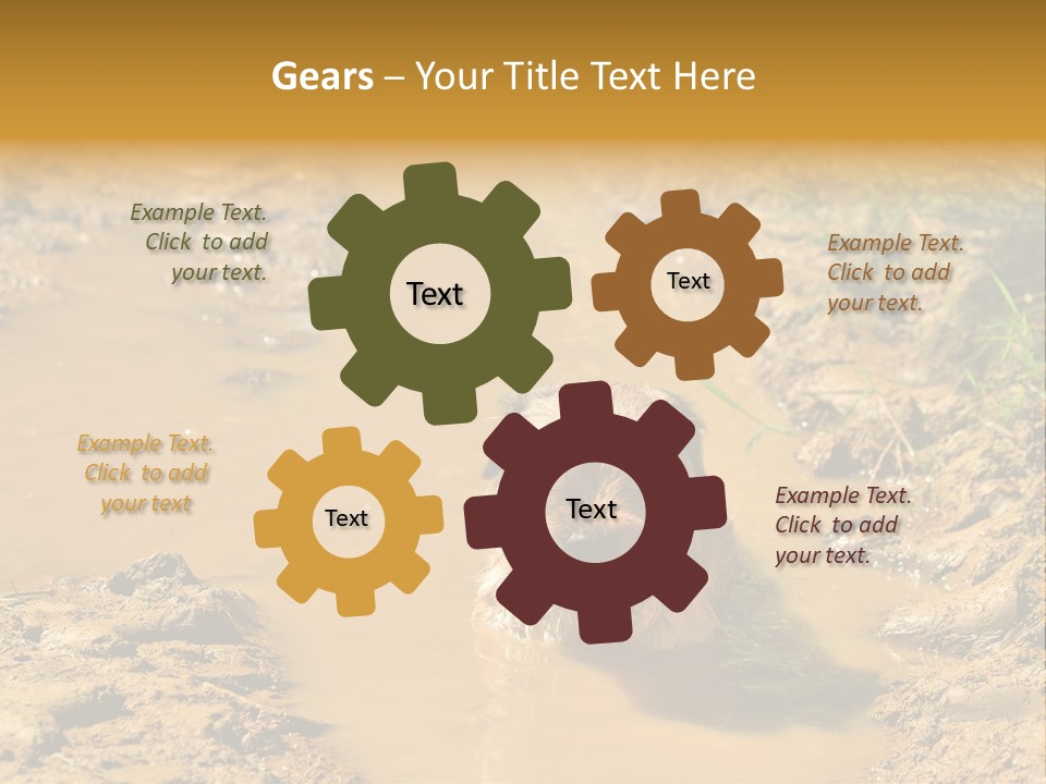 A Dog In A Muddy Puddle Of Water Powerpoint Template PowerPoint Template